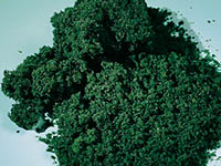015-76982 - Moosschaum dunkelgrün fein (1l)